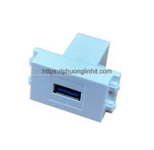 Nhân ổ cắm USB 3.0 truyền dữ liệu Sinoamigo P21-USB data hàng chính hãng